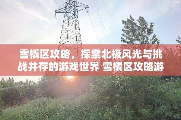 雪橇区攻略，探索北极风光与挑战并存的游戏世界 雪橇区攻略游戏