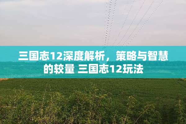 三国志12深度解析，策略与智慧的较量 三国志12玩法
