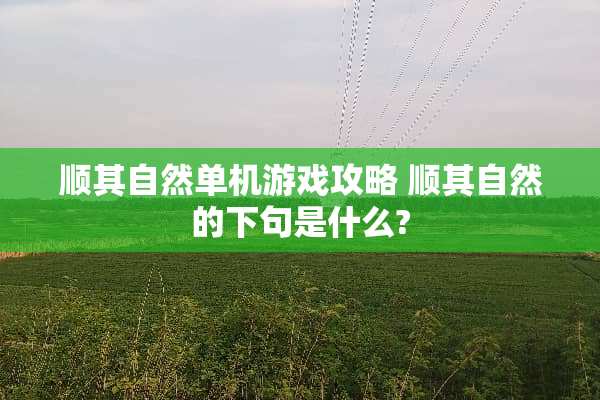 顺其自然单机游戏攻略 顺其自然的下句是什么?
