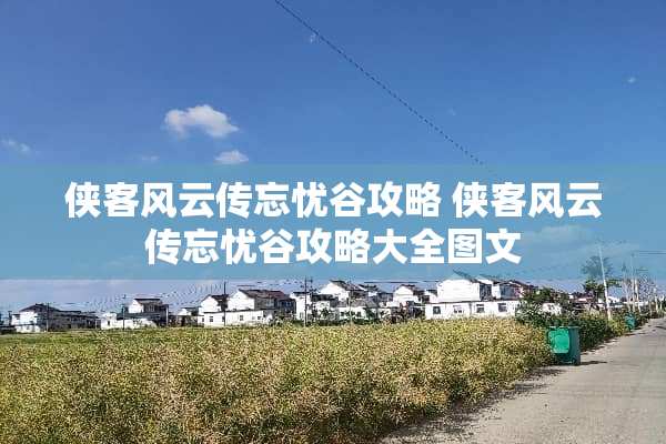 侠客风云传忘忧谷攻略 侠客风云传忘忧谷攻略大全图文