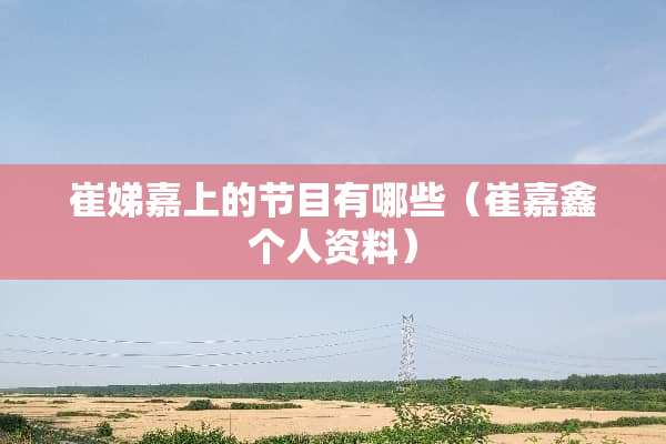 崔娣嘉上的节目有哪些（崔嘉鑫个人资料）