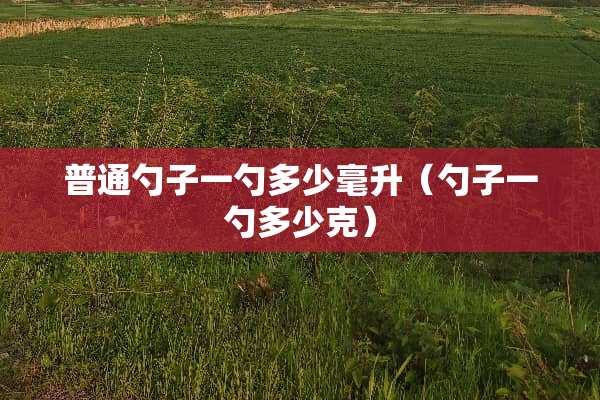 普通勺子一勺多少毫升（勺子一勺多少克）