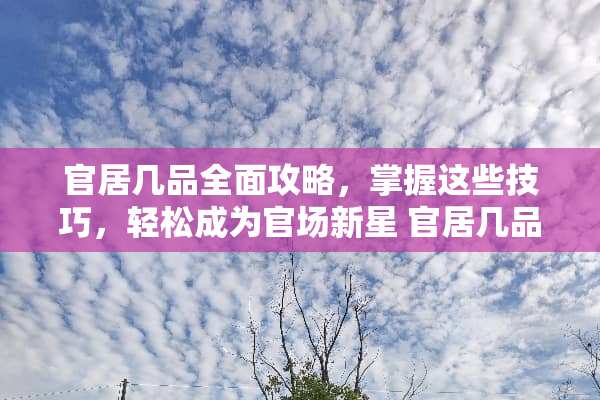 官居几品全面攻略，掌握这些技巧，轻松成为**新星 官居几品完整攻略