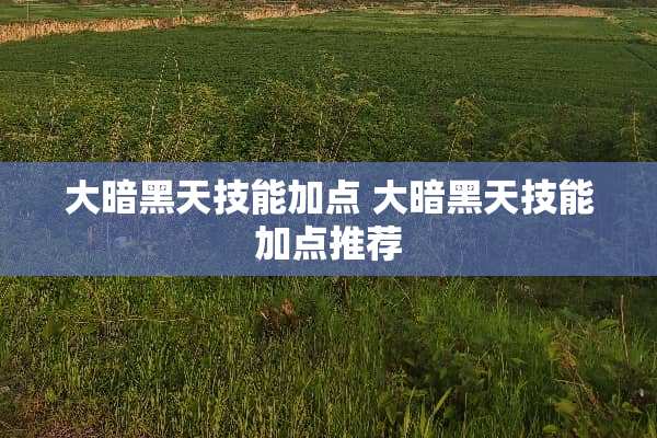 大暗黑天技能加点 大暗黑天技能加点推荐