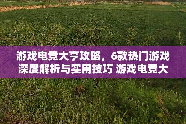 游戏电竞大亨攻略，6款热门游戏深度解析与实用技巧 游戏电竞大亨攻略6游戏