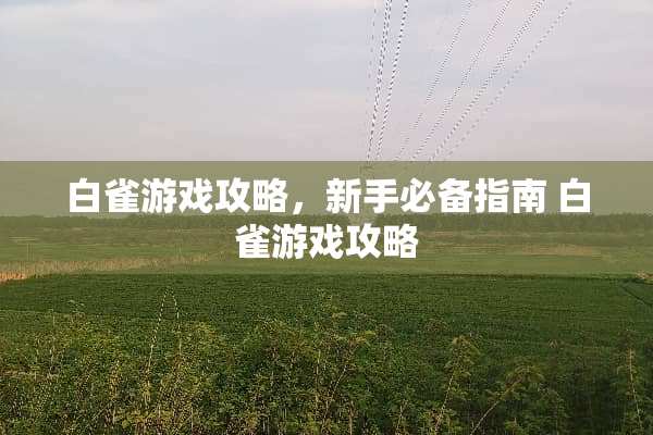 白雀游戏攻略，新手必备指南 白雀游戏攻略