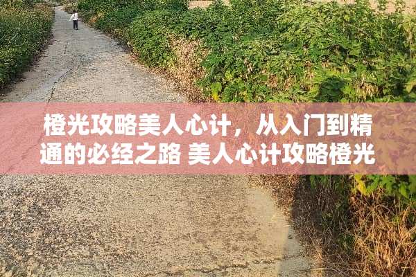 橙光攻略美人心计，从入门到精通的必经之路 美人心计攻略橙光游戏