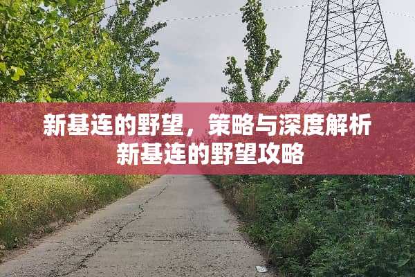 新基连的野望，策略与深度解析 新基连的野望攻略