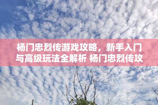 杨门忠烈传游戏攻略，新手入门与高级玩法全解析 杨门忠烈传攻略