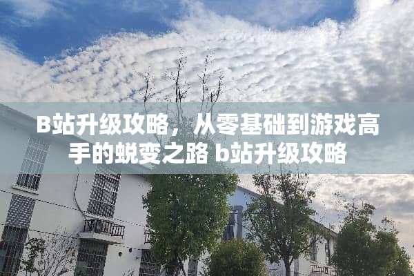 B站升级攻略，从零基础到游戏高手的蜕变之路 b站升级攻略