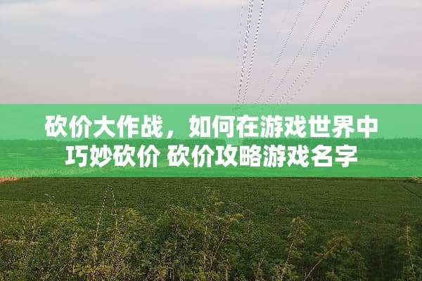 砍价大作战，如何在游戏世界中巧妙砍价 砍价攻略游戏名字