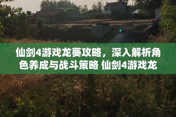 仙剑4游戏龙葵攻略，深入解析角色养成与战斗策略 仙剑4游戏龙葵攻略