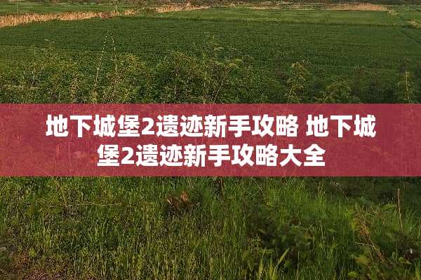 **城堡2遗迹新手攻略**城堡2遗迹新手攻略大全