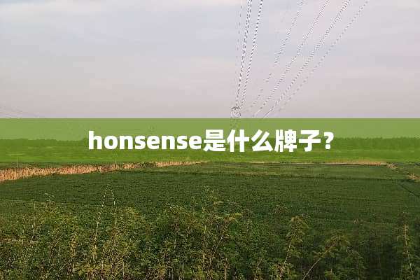 honsense是什么牌子？