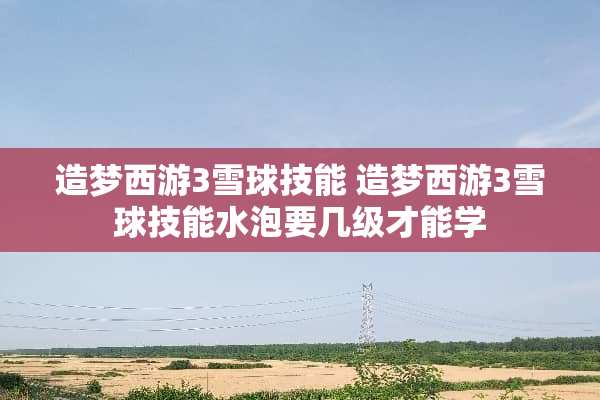 造梦西游3雪球技能 造梦西游3雪球技能水泡要几级才能学