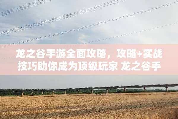 龙之谷手游全面攻略，攻略+实战技巧助你成为**玩家 龙之谷手游攻略