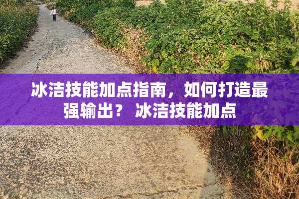 冰洁技能加点指南，如何打造最强输出？ 冰洁技能加点
