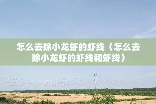 怎么去除小龙虾的虾线（怎么去除小龙虾的虾线和虾线）
