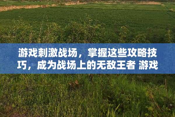 游戏**战场，掌握这些攻略技巧，成为战场上的无敌王者 游戏**战场攻略技巧