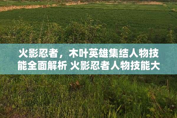 火影忍者，木叶英雄集结人物技能全面解析 火影忍者人物技能大全