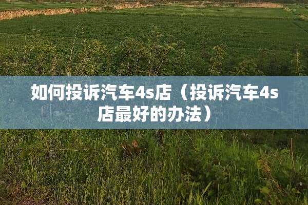 如何投诉汽车4s店（投诉汽车4s店最好的办法）