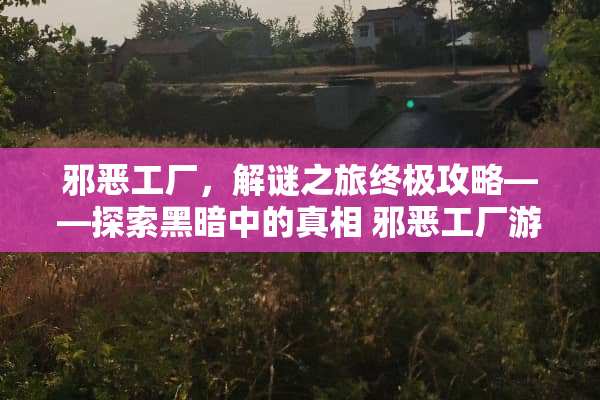 **工厂，解谜之旅终极攻略——探索黑暗中的****工厂游戏攻略