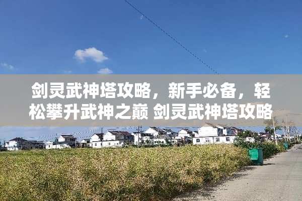 剑灵武神塔攻略，新手必备，轻松攀升武神之巅 剑灵武神塔攻略