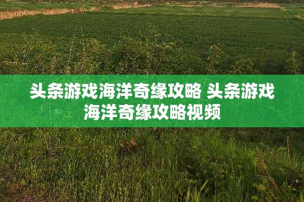 头条游戏海洋奇缘攻略 头条游戏海洋奇缘攻略视频