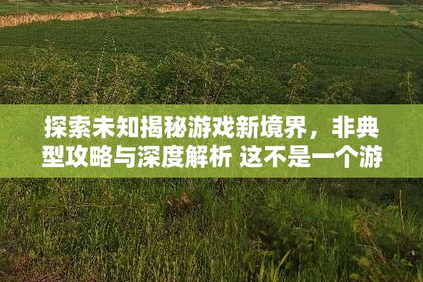 探索未知揭秘游戏新境界，**型攻略与深度解析 这不是一个游戏攻略