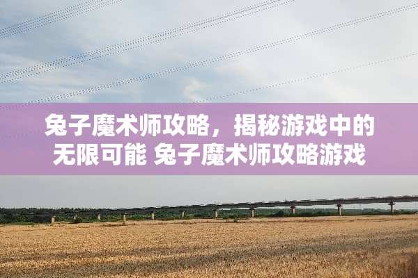 兔子魔术师攻略，揭秘游戏中的无限可能 兔子魔术师攻略游戏