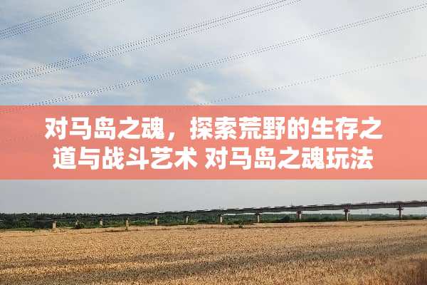 对马岛之魂，探索荒野的生存之道与战斗艺术 对马岛之魂玩法