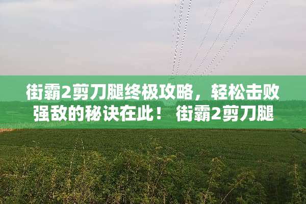街霸2剪刀腿终极攻略，轻松击败强敌的秘诀在此！ 街霸2剪刀腿游戏攻略