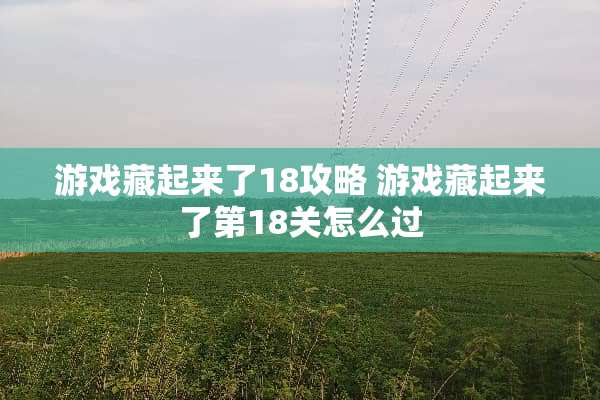 游戏藏起来了18攻略 游戏藏起来了第18关怎么过