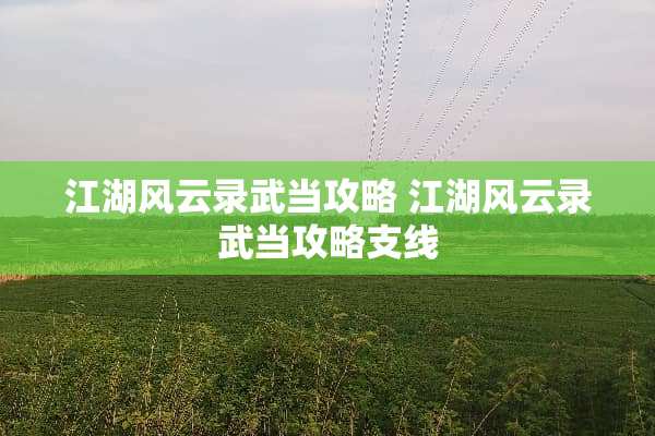 江湖风云录武当攻略 江湖风云录武当攻略支线