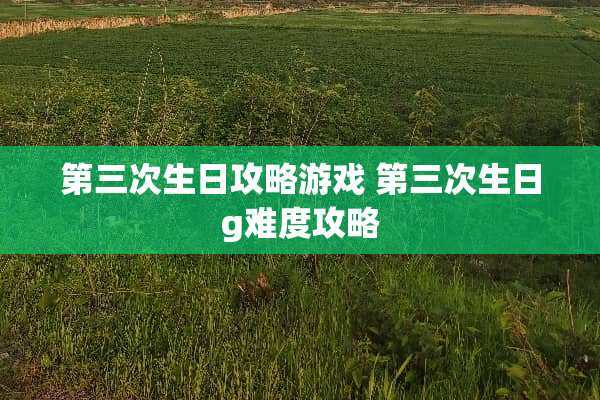 第三次生日攻略游戏 第三次生日g难度攻略