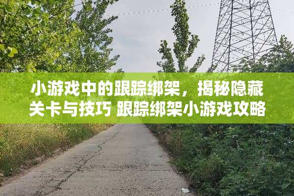 小游戏中的**绑架，揭秘隐藏关卡与技巧**绑架小游戏攻略