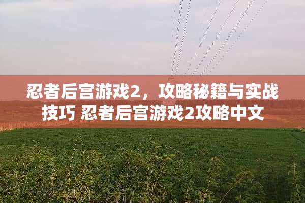 忍者后宫游戏2，攻略秘籍与实战技巧 忍者后宫游戏2攻略中文
