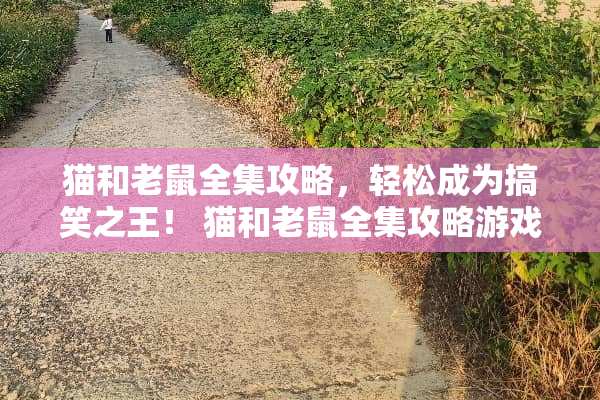 猫和老鼠全集攻略，轻松成为搞笑之王！ 猫和老鼠全集攻略游戏