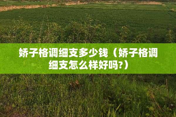 娇子格调细支多少钱（娇子格调细支怎么样好吗?）