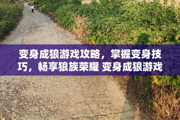 变身成狼游戏攻略，掌握变身技巧，畅享狼族荣耀 变身成狼游戏攻略