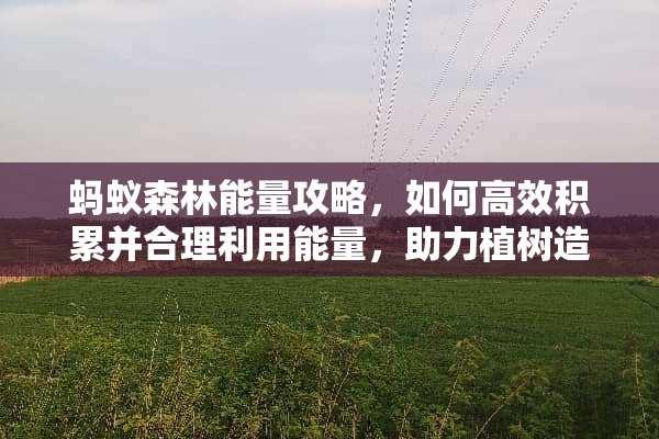 蚂蚁森林能量攻略，如何高效积累并合理利用能量，助力植树造林？ 游戏蚂蚁森林能量攻略