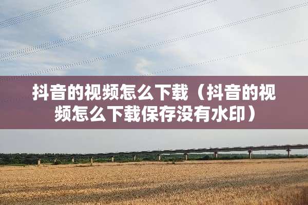 抖音的视频怎么下载（抖音的视频怎么下载保存没有水印）