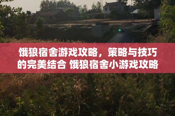 饿狼宿舍游戏攻略，策略与技巧的完美结合 饿狼宿舍小游戏攻略