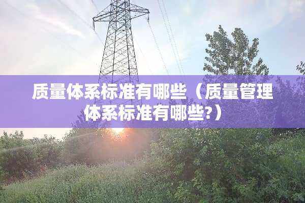 质量体系标准有哪些（质量管理体系标准有哪些?）
