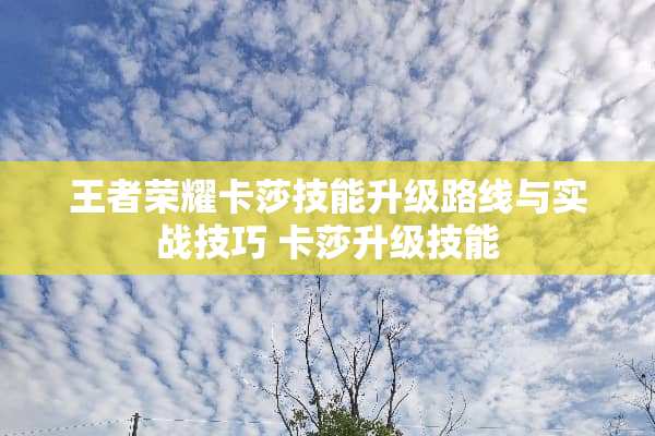 王者荣耀卡莎技能升级路线与实战技巧 卡莎升级技能