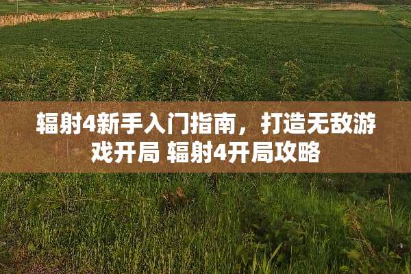 辐射4新手入门指南，打造无敌游戏开局 辐射4开局攻略