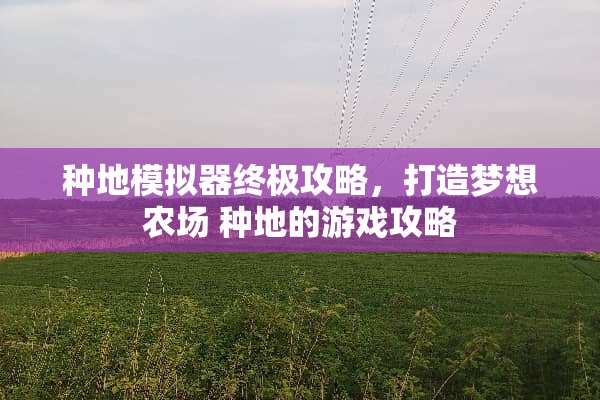 种地模拟器终极攻略，打造梦想农场 种地的游戏攻略