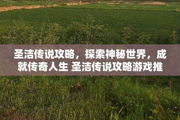 圣洁传说攻略，探索神秘世界，成就传奇人生 圣洁传说攻略游戏推荐