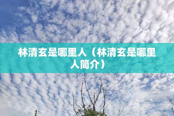 林清玄是哪里人（林清玄是哪里人简介）