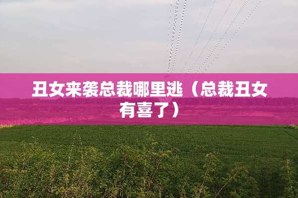 丑女来袭总裁哪里逃（总裁丑女有喜了）